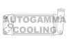 AUTOGAMMA 105955 Intercooler, charger